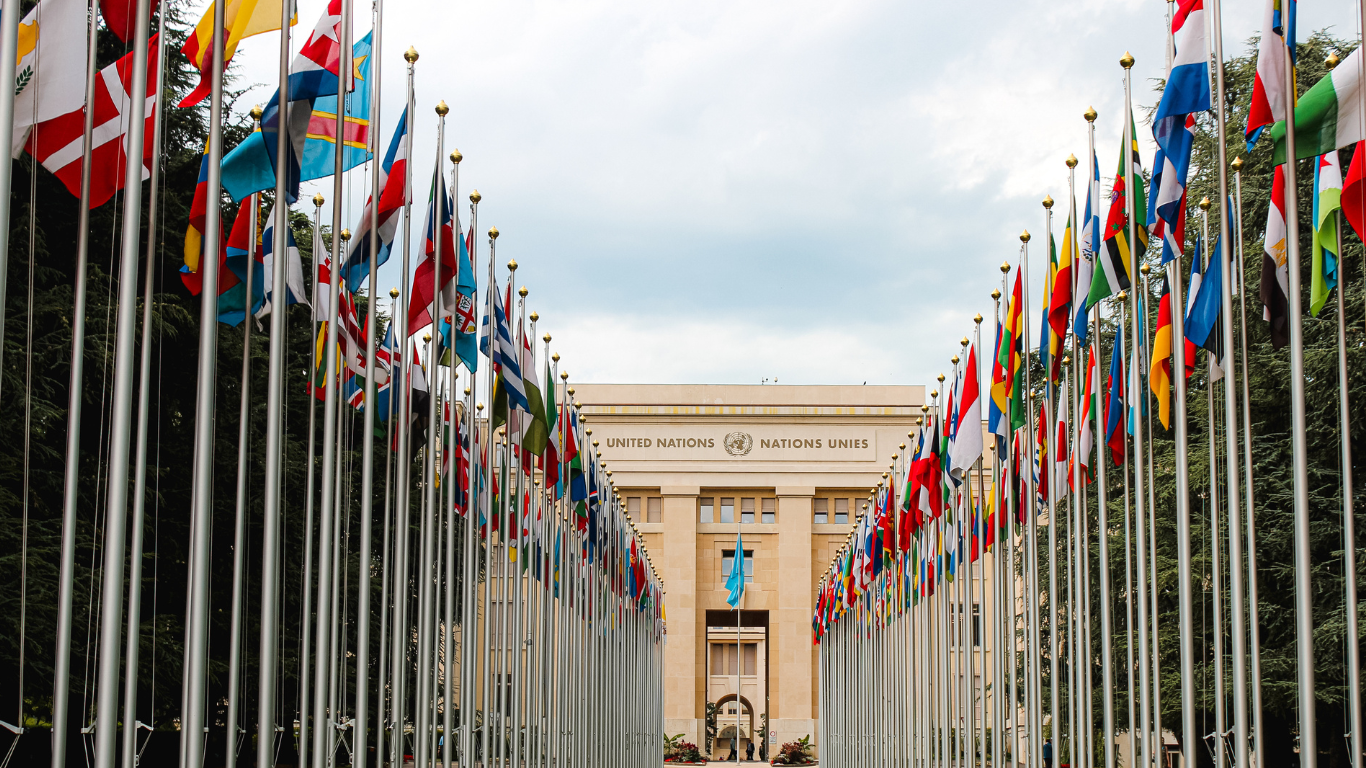 Declaração Histórica da ONU Reconhece Tráfico Transatlântico de AfriDeclaração Histórica da ONU Reconhece Tráfico Transatlântico de Africanos como Crime Contra a Humanidadecanos como Crime Contra a Humanidade
