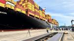 msc orion